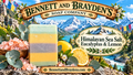 Hemalayan sea salt,  eucalyptus, and lemon bar soap